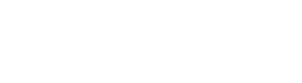 max logo